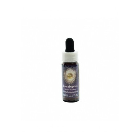 Natur Eucalypstus Essenza singola