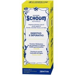 Soluzione Schoum Advance