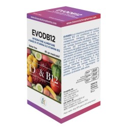 Evodb12
