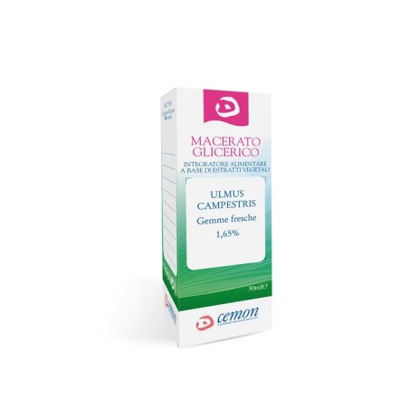Cemon Ulmus Campestre Gemme Macerato Glicerico