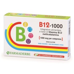 Farmaderbe B12 1000