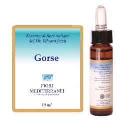 Forza Vitale Italia Fiori Mediterranei Gorse gocce