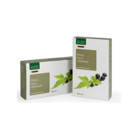 Natura Service Ribes Nero Biologico