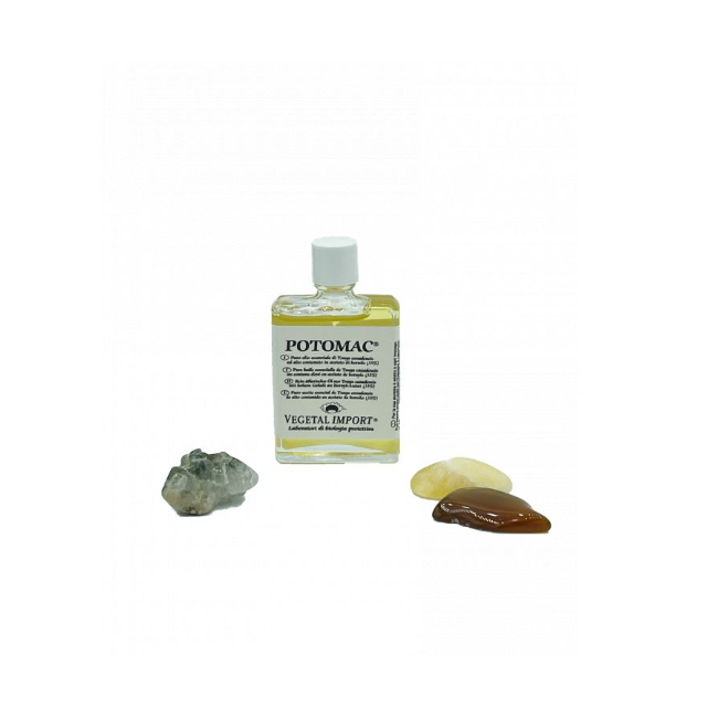 Potomac Olio Essenziale Tsuga Canadensis