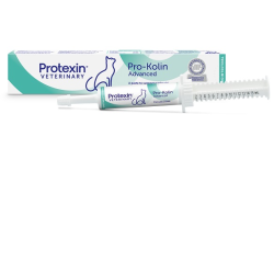 Prokolin advanced gatto