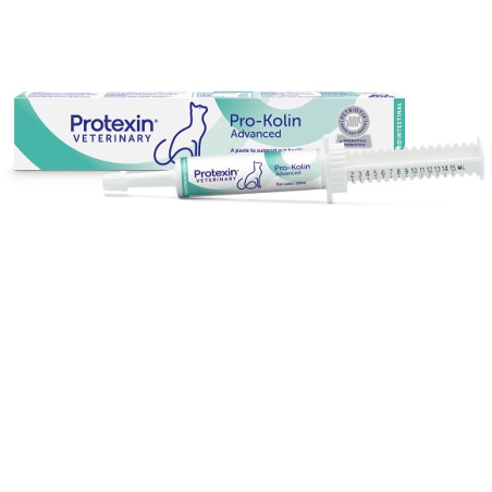 Prokolin advanced gatto