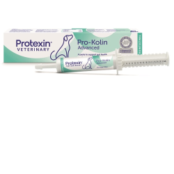 Prokolin advanced cane