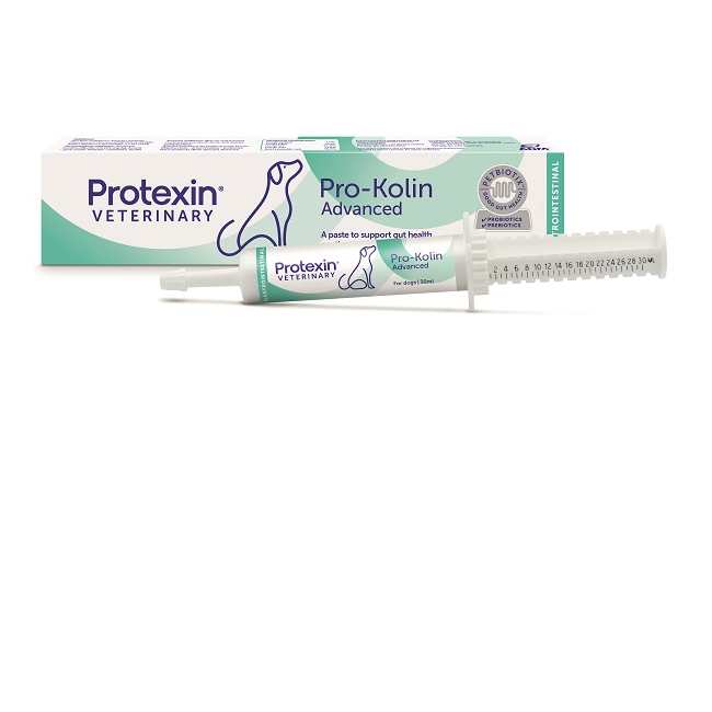 Prokolin advanced cane