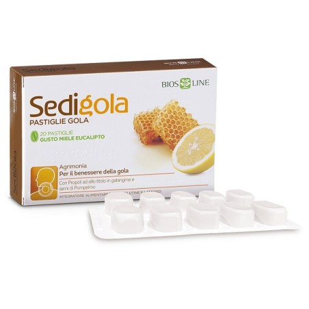 Sedigola Miele Eucalipto 20 Pastiglie
