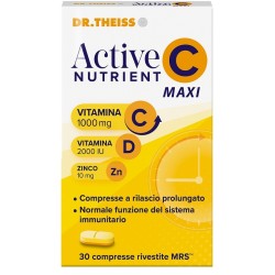 Naturwaren Theiss Ative Nutrient C-maxi