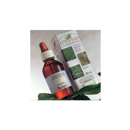 Ribes Nero Tintura Madre