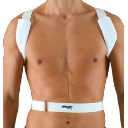 Gibaud Ortho Sostegno Dorso