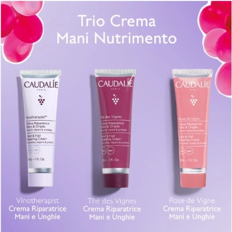 Caudalie cofanetto trio Caudalie cofanetto trio