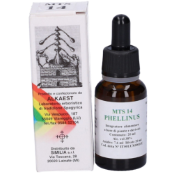 Alkaest Mts14 Phellinus Gocce