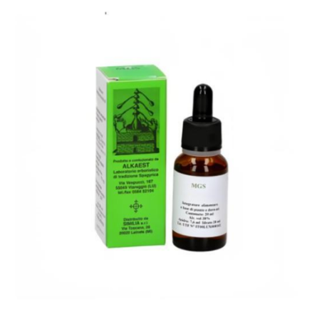 Alkaest Mgs6 Faggio Mg Spg soluzione spargirica gocce 20 ml
