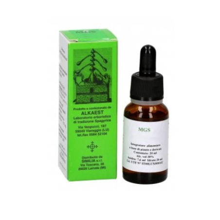 Alkaest Mgs12 Olivo Mg Spg soluzione spargirica 20ml Alkaest Mgs12 Olivo Mg Spg soluzione spargirica 20ml