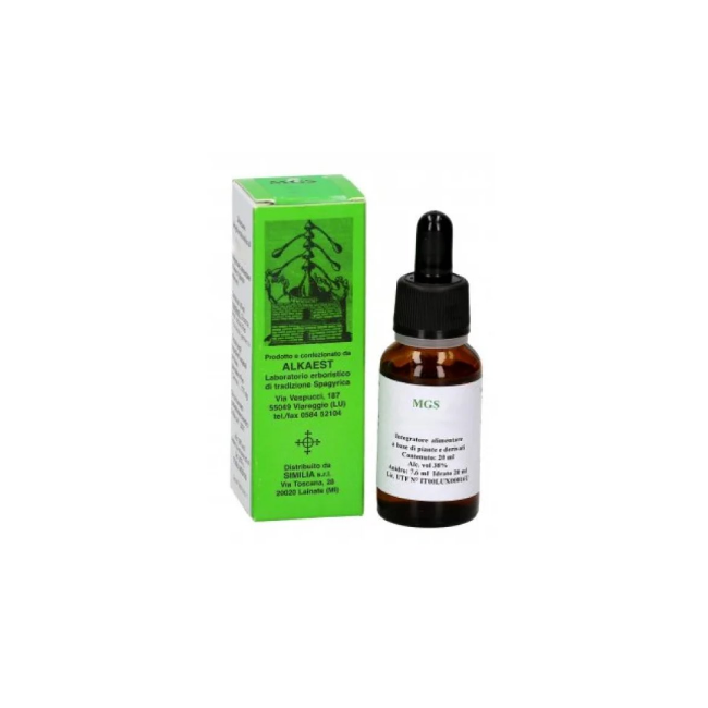 Alkaest Mgs21 Vite Mg Spg