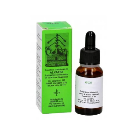 Alkaest Mgs21 Vite Mg Spg