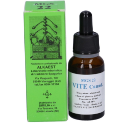 Alkaest Mgs22 Vite Canadese