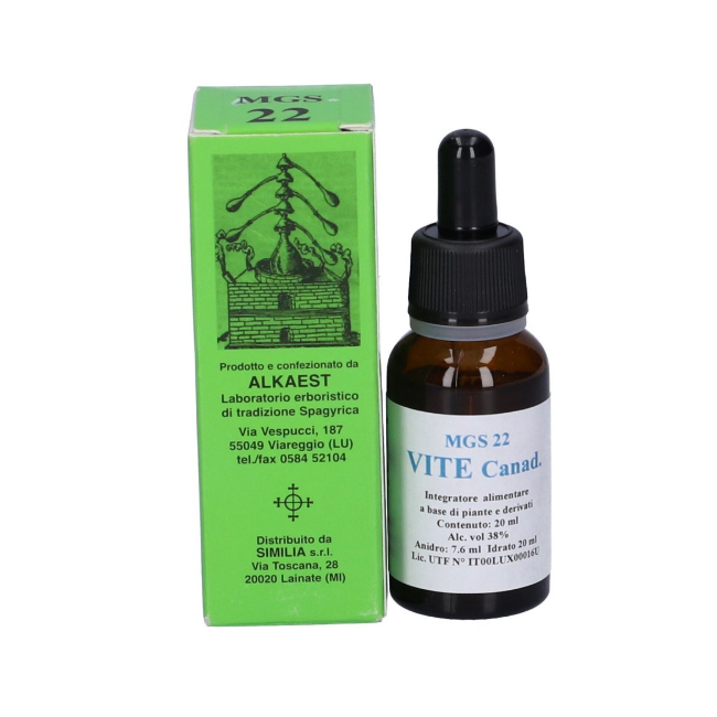 Alkaest Mgs22 Vite Canadese Alkaest Mgs22 Vite Canadese