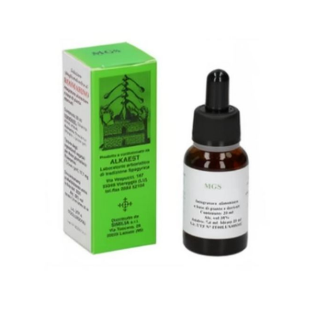 Alkaest Mgs23 Carpino Mg Spg gocce Alkaest Mgs23 Carpino Mg Spg gocce