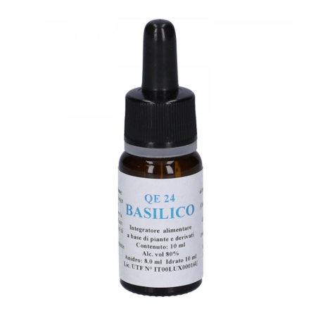 Alkaest Qe24 Basilico