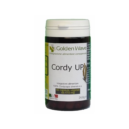 Golden wave Cordy up
