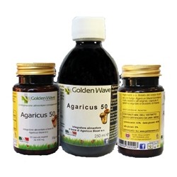 Golden wave agaricus 50