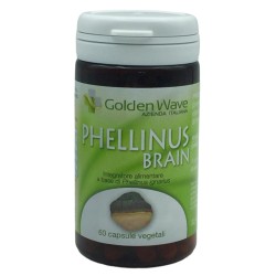 Phellinus brain
