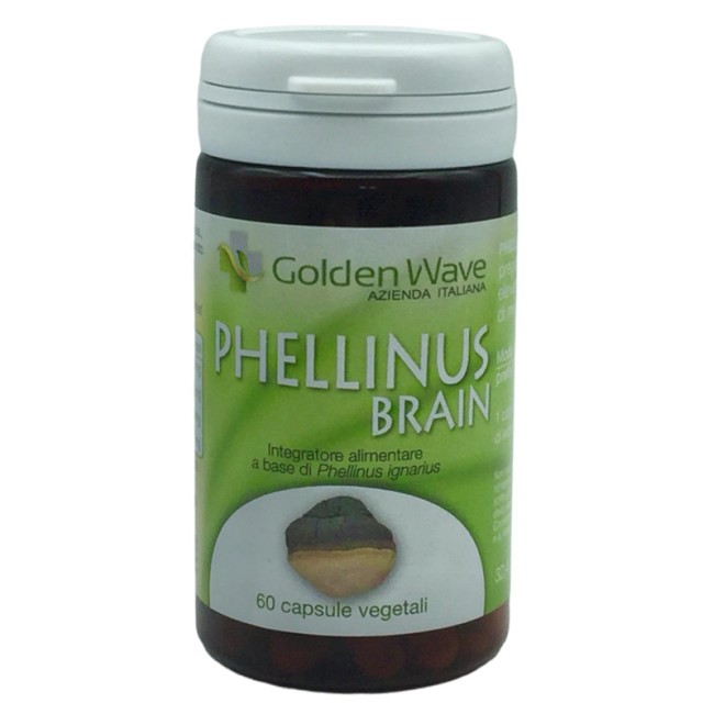 Phellinus brain