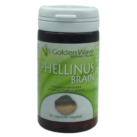 Phellinus brain
