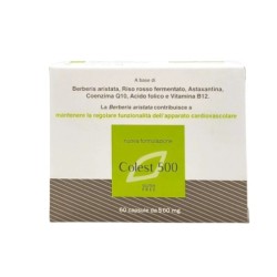 Oti Colest 500 Integratore per colesterolo 60 capsule