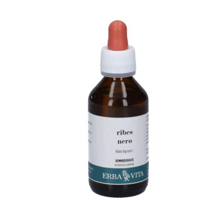 Erba vita Ribes nero gemmoderivato Erba vita Ribes nero gemmoderivato