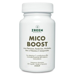 Zreen mico boost