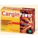 Cargin Power 12 Buste Astuccio 20,4 G