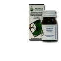 Arcangea Ginkgo Biloba 60 Capsule 500 Mg
