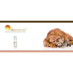 Bioenervet 2,5ml