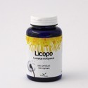 Licopo 60 Capsule