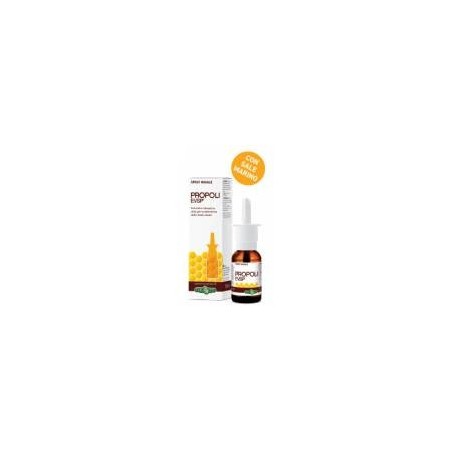 Erba Vita Propoli Evsp Spray Nasale Erba Vita Propoli Evsp Spray Nasale