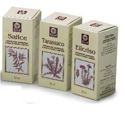 Ecol Olio Germe Grano 100ml