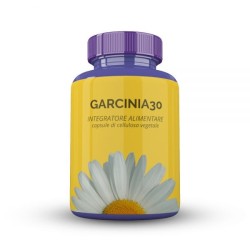 Garcinia 30 60 Capsule Biosalus 29,4g