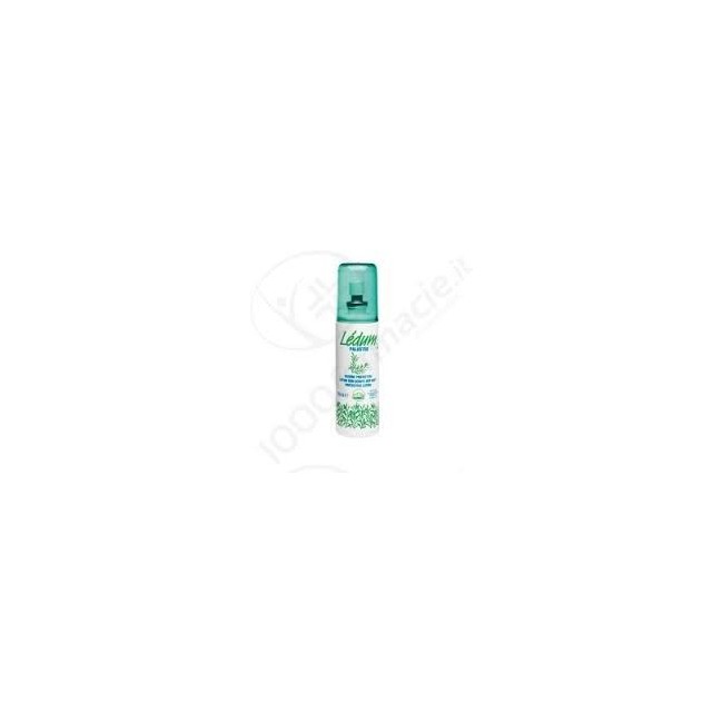 Ledum Smf Spray Lozione 100ml