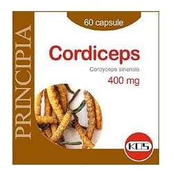 Cordiceps Estratto Secco 60 Capsule