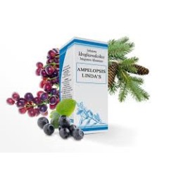 Ampelopsis Lindas Gocce 50ml