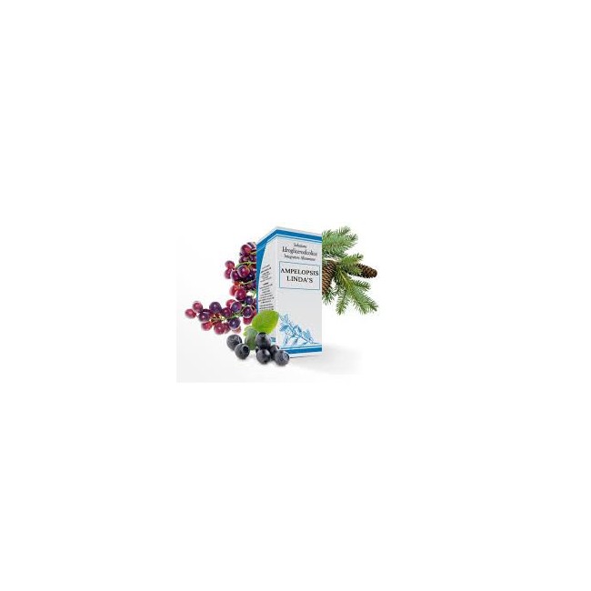 Ampelopsis Lindas Gocce 50ml