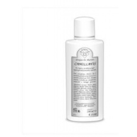 Camillavis Soluzione 250ml