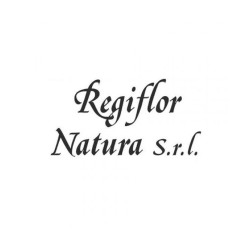 Carbone Vegetale Polvere 20g