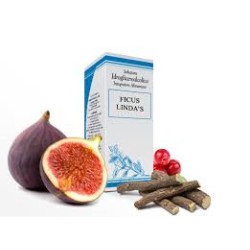 Ficus Lindas Gocce 50ml