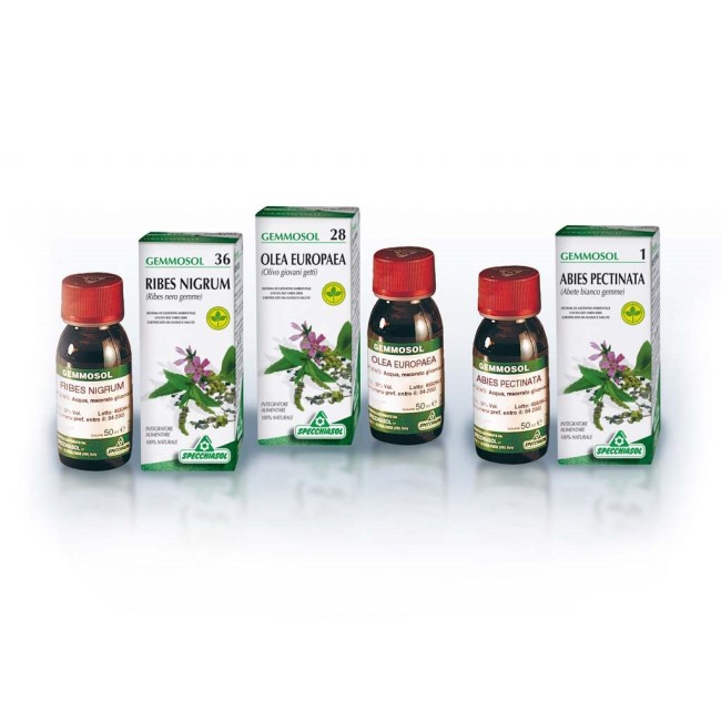 Gemmosol 36 Ribes Nero 100 Ml