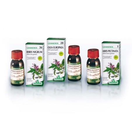 Gemmosol 36 Ribes Nero 100 Ml